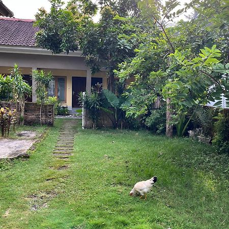 Honey Home Kuta  Ngoại thất bức ảnh