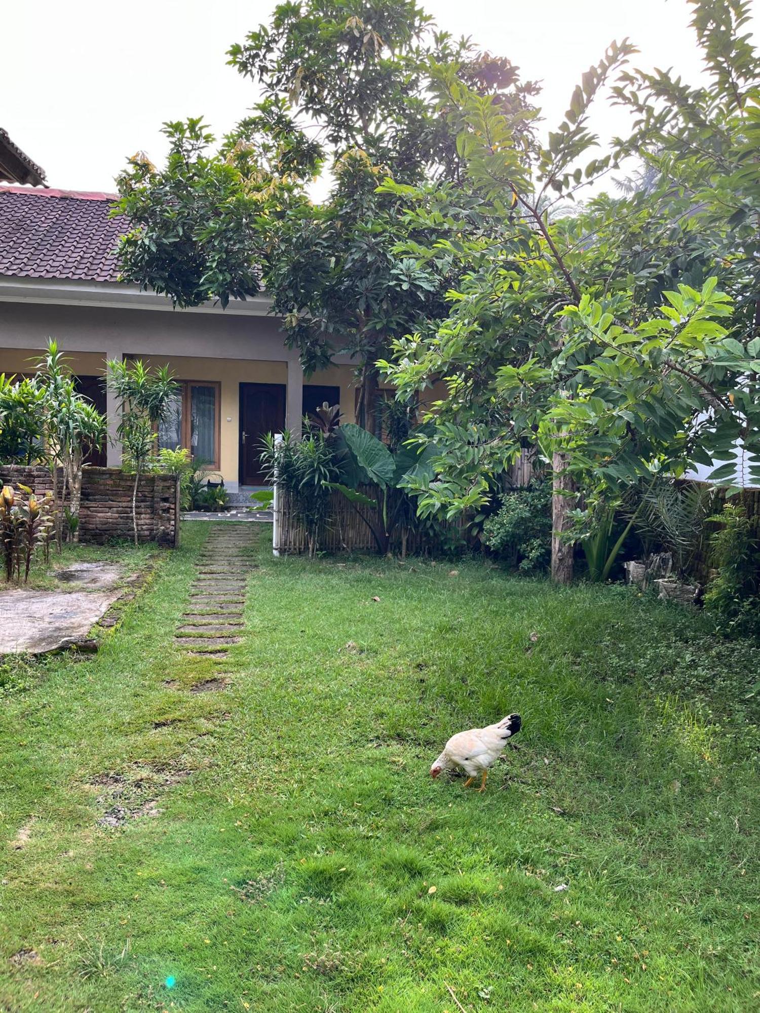 Honey Home Kuta  Ngoại thất bức ảnh