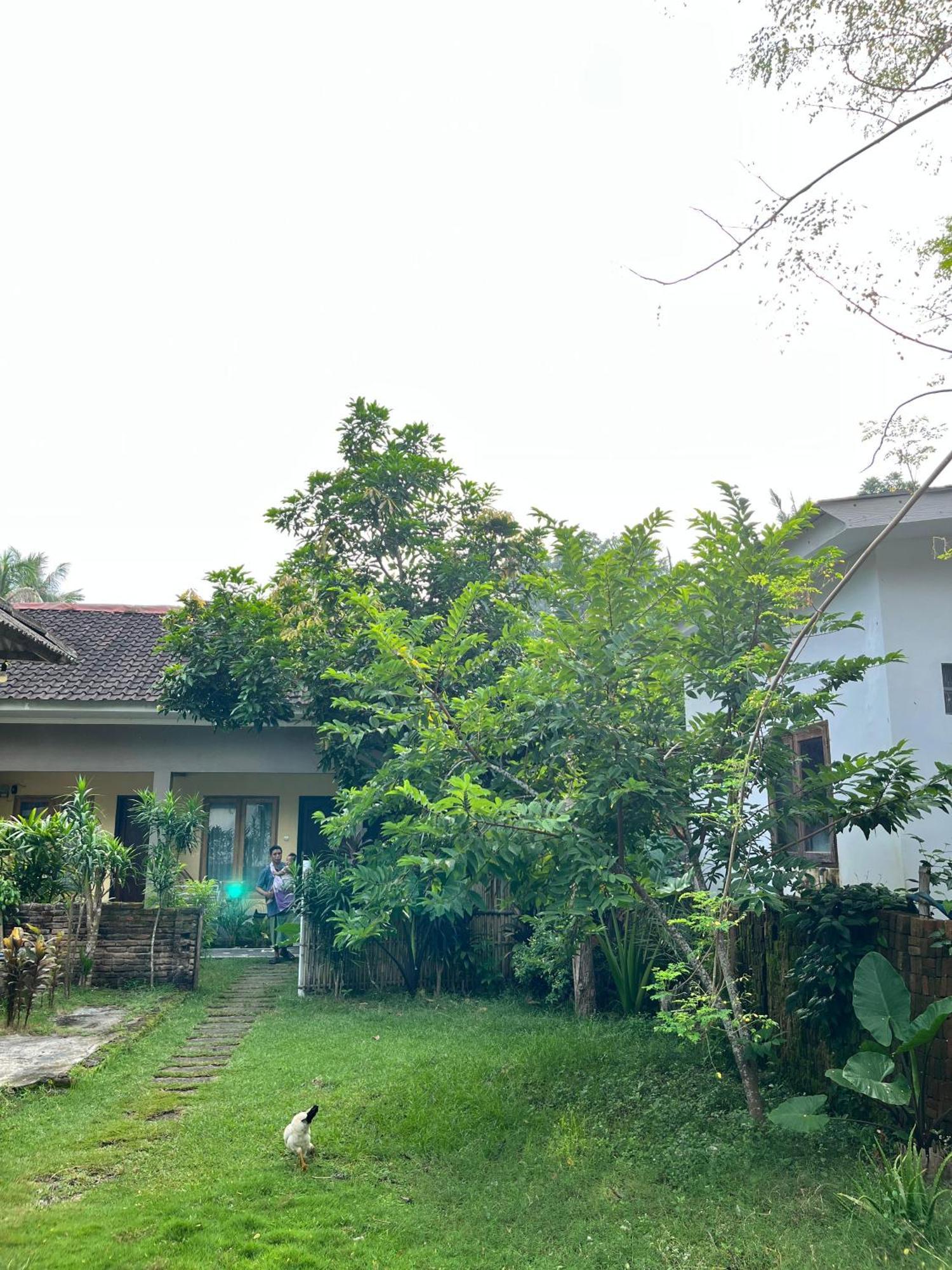 Honey Home Kuta  Ngoại thất bức ảnh